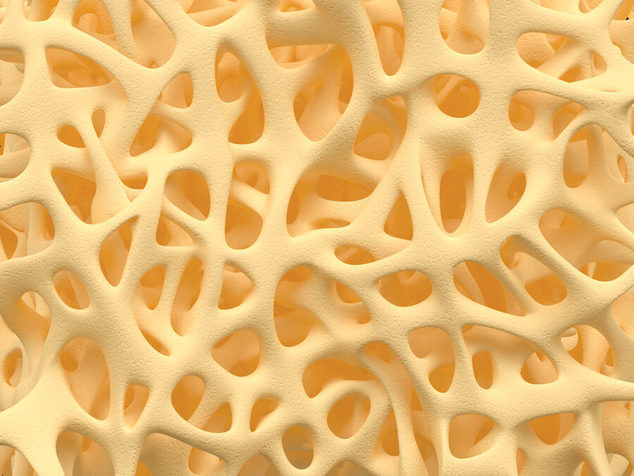 خواص پنیر برای استخوان